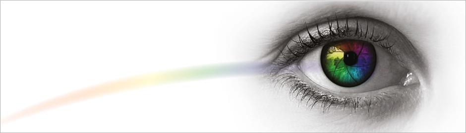 POLIDESIGN Color Design and Technology Master Programı