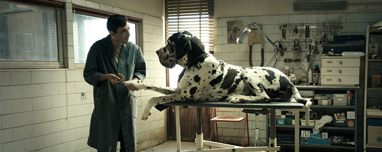 İtalya’nın Oscar adayı filmi Dogman Filmekimi’nde