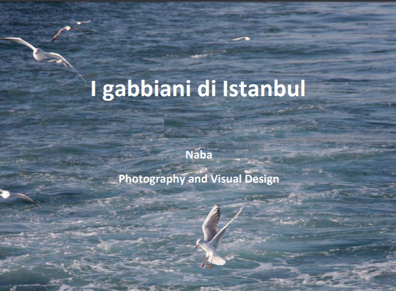 NABA Photography and Visual Design