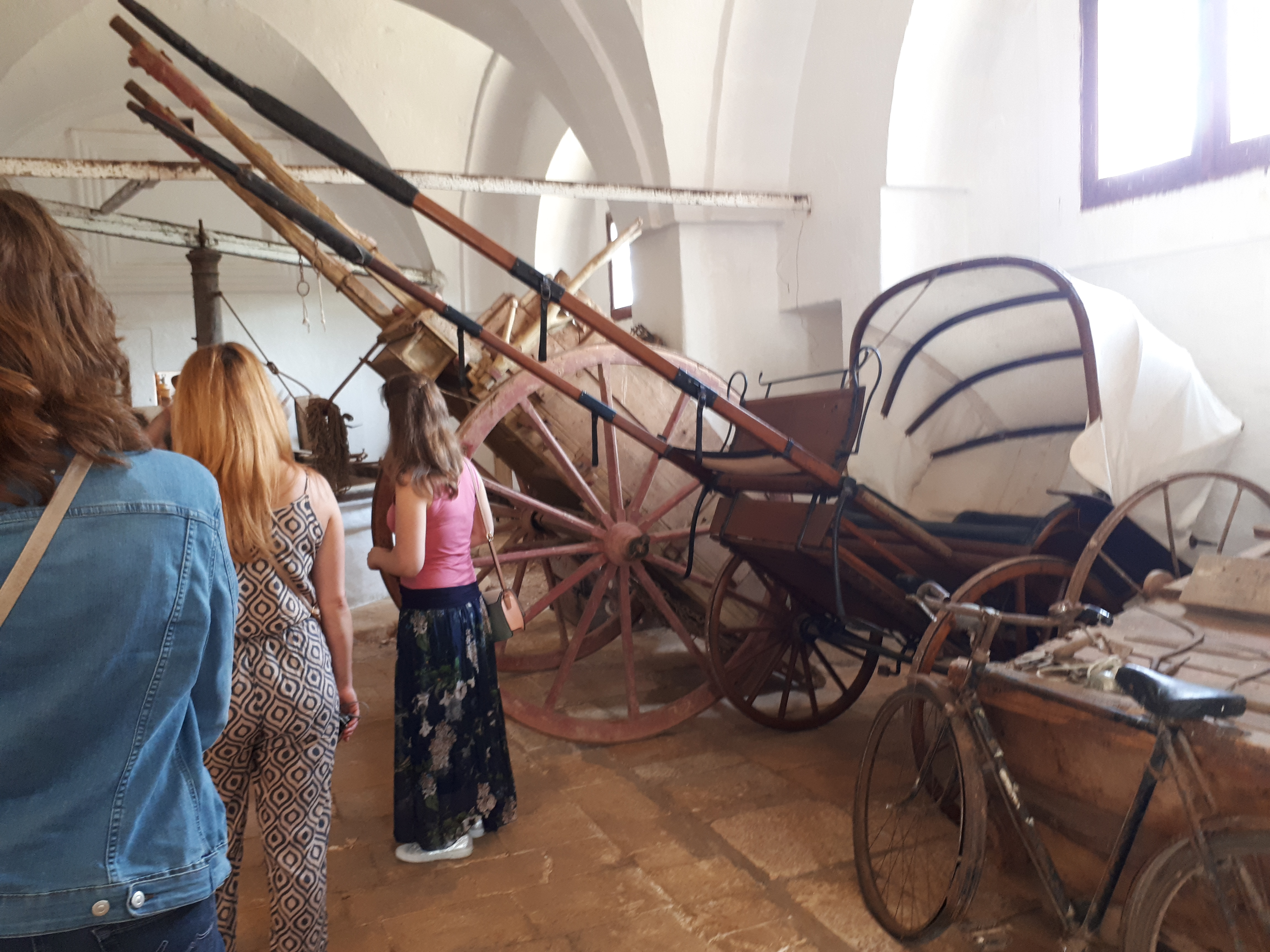 20190603_120519.jpg