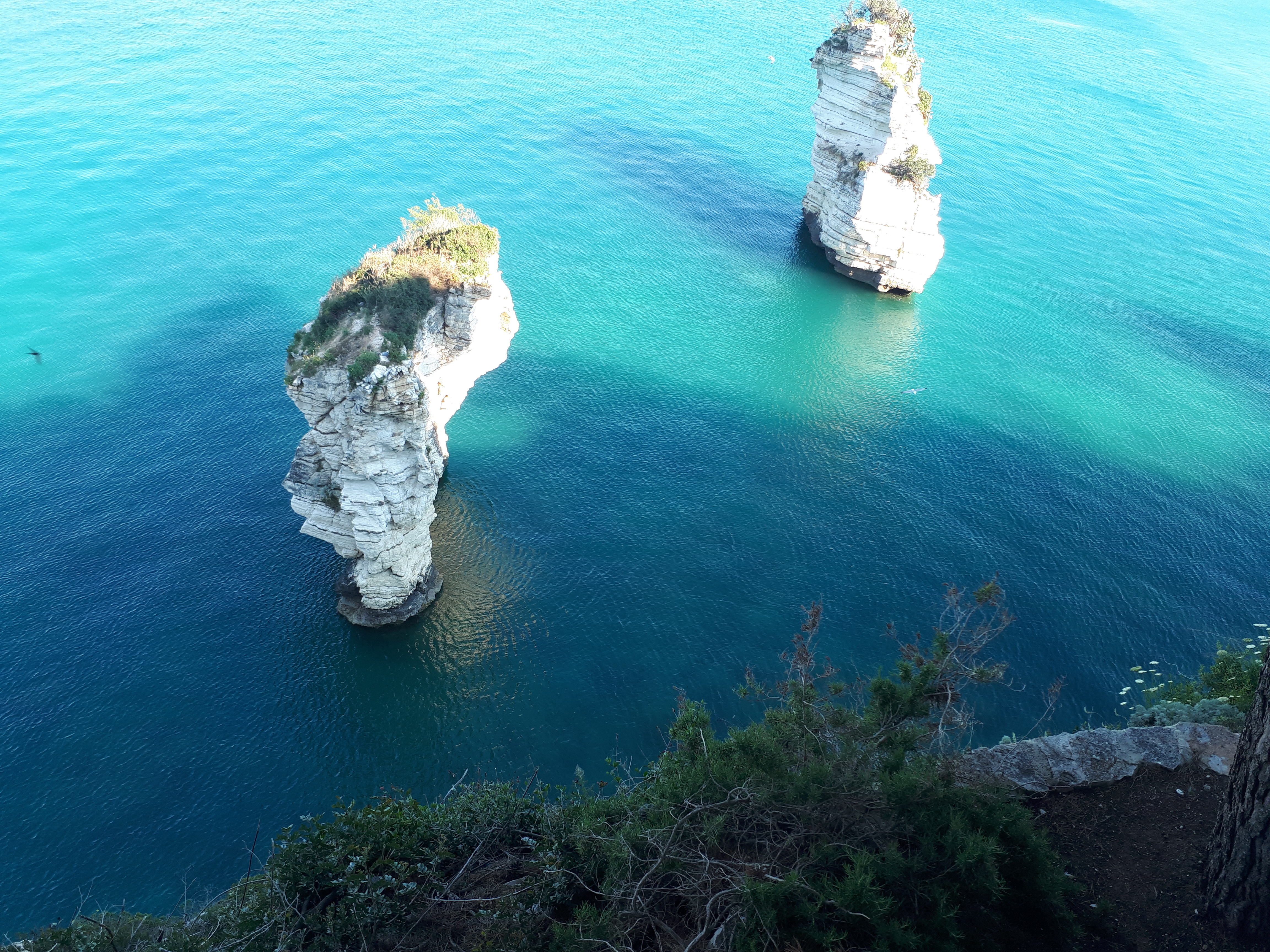 Faraglioni Baia delle Zagare.jpg