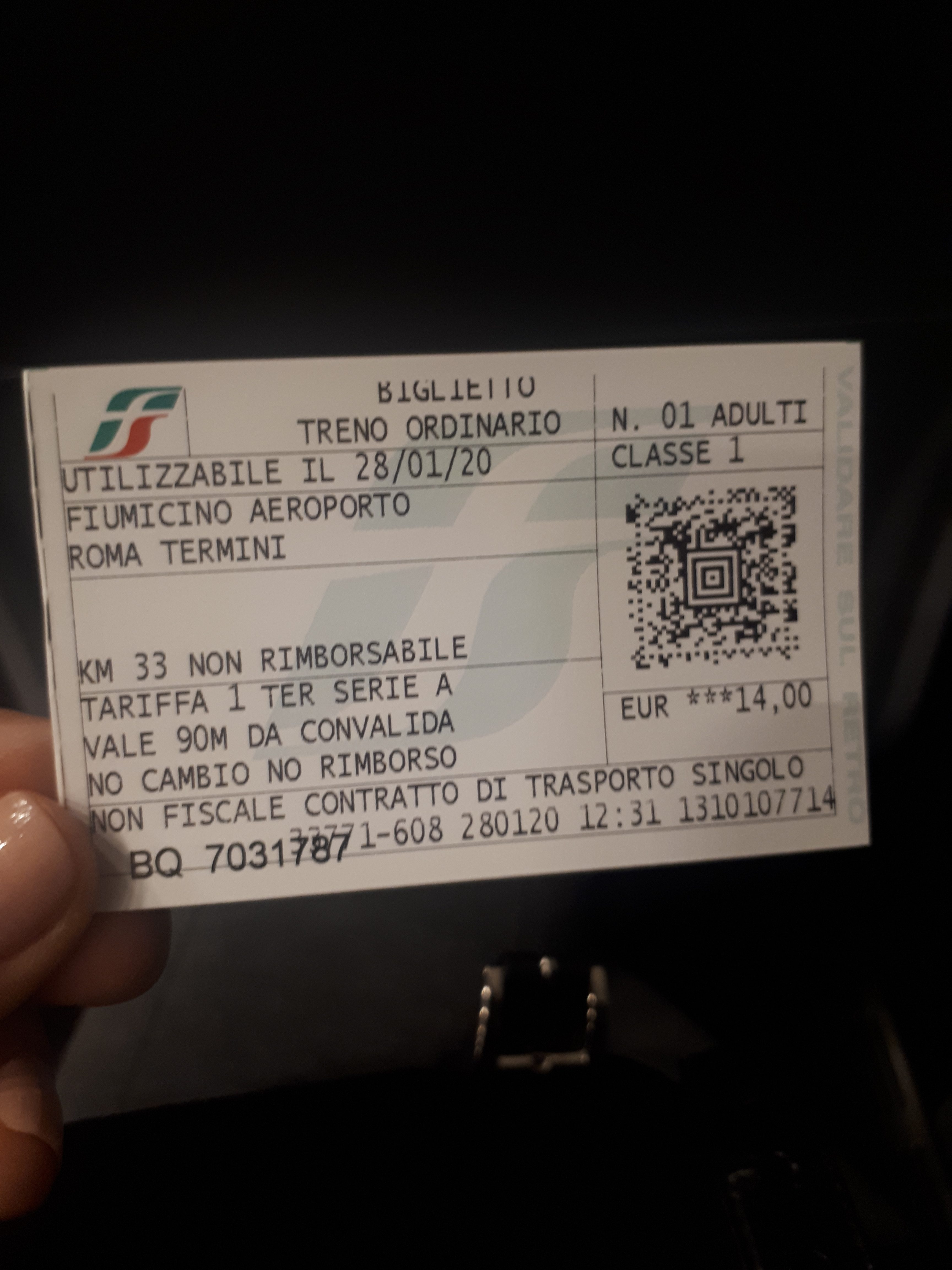 Roma treno fiumicino