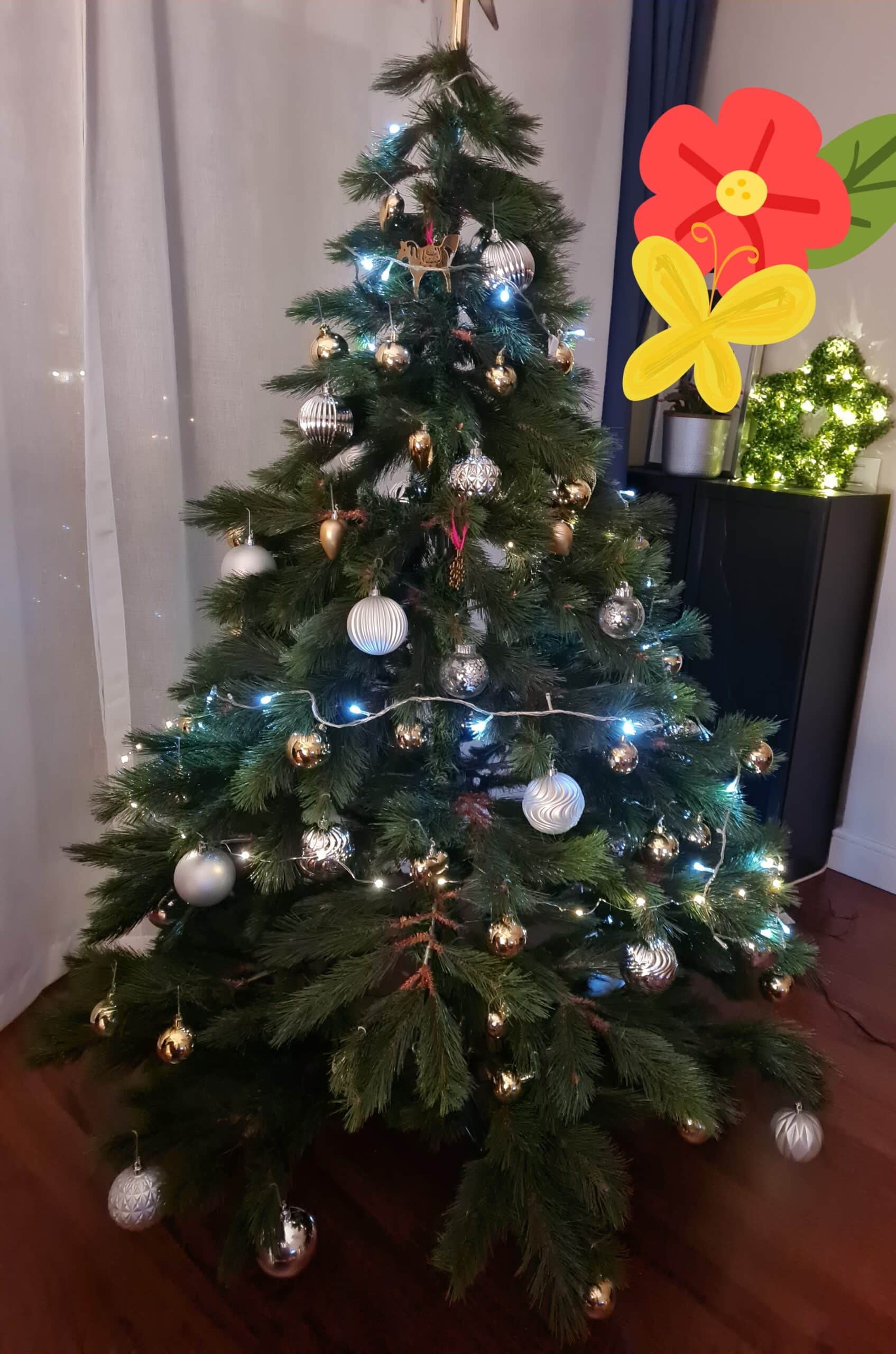 İtalyanlar çam ağacını ne zaman kuruyor?
