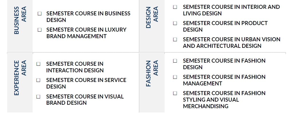 Domus Academy Sömestr Programları